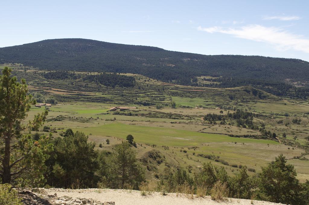 בית הארחה טרואל 	Casa Rural El Olmo מראה חיצוני תמונה
